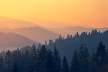 1-6年级必读书目有哪些-