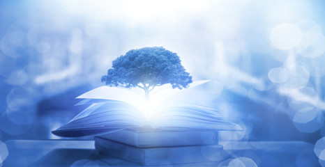 08年下半年到09年至今“女人我最大”每集的内容