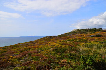 08年下半年到09年至今“女人我最大”每集的内容