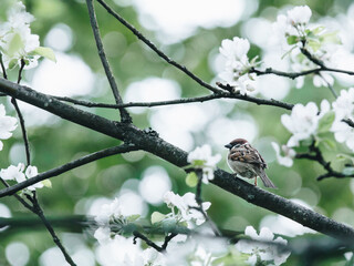 10大品牌冻干粉