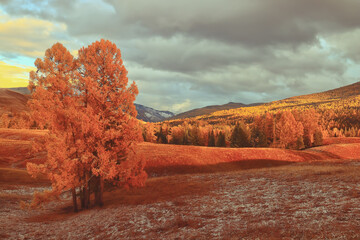 1000米跑步教程方法教练送髋经验-大师