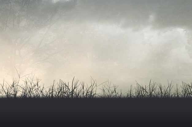 -5款自制减肥茶 暴瘦又养颜补血