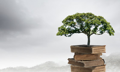 -5款自制减肥茶 暴瘦又养颜补血