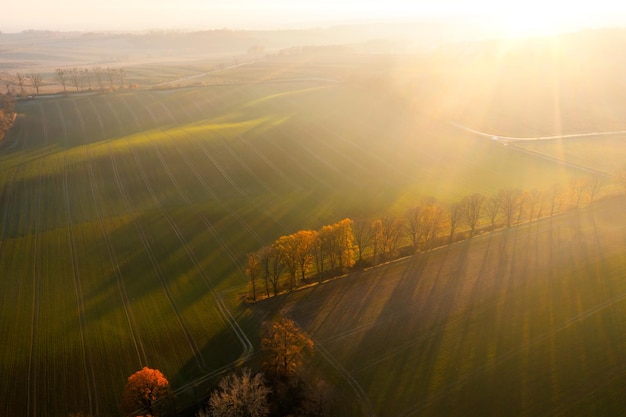 1000米跑步教程方法教练送髋经验-大师